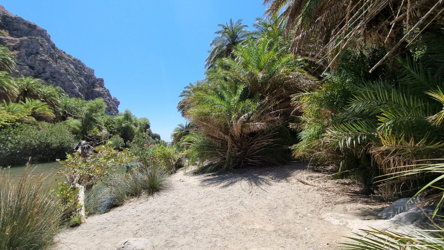 Las Preveli- Wycieczka Preveli