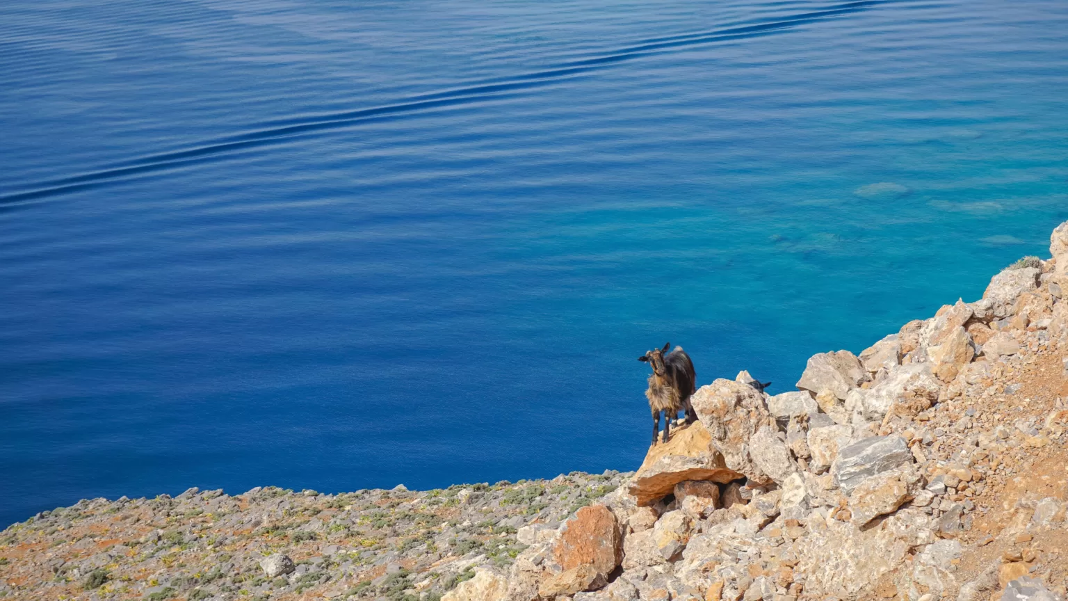 Sfakia- wycieczki po Krecie